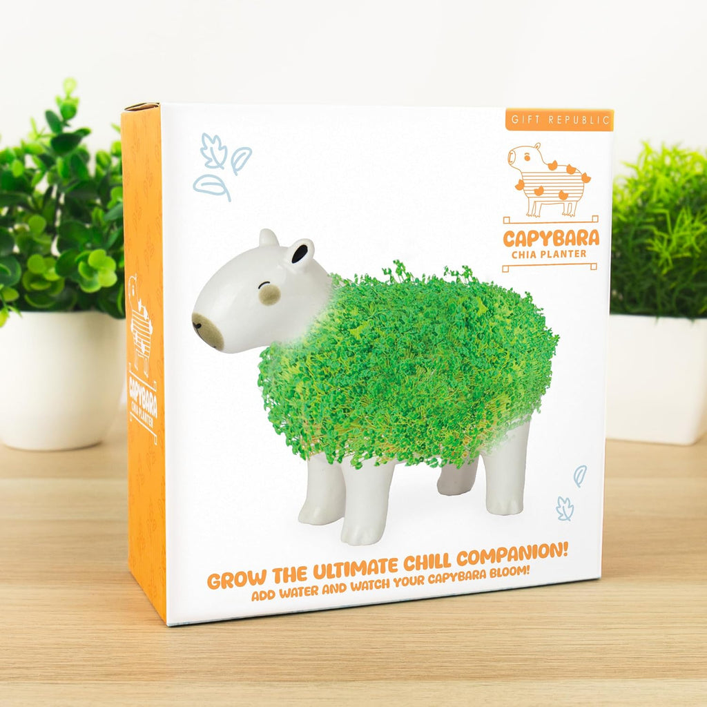 Gift Republic Capybara Chia Planter Desktop Sprouting Chia Animal Fun Grow Kit