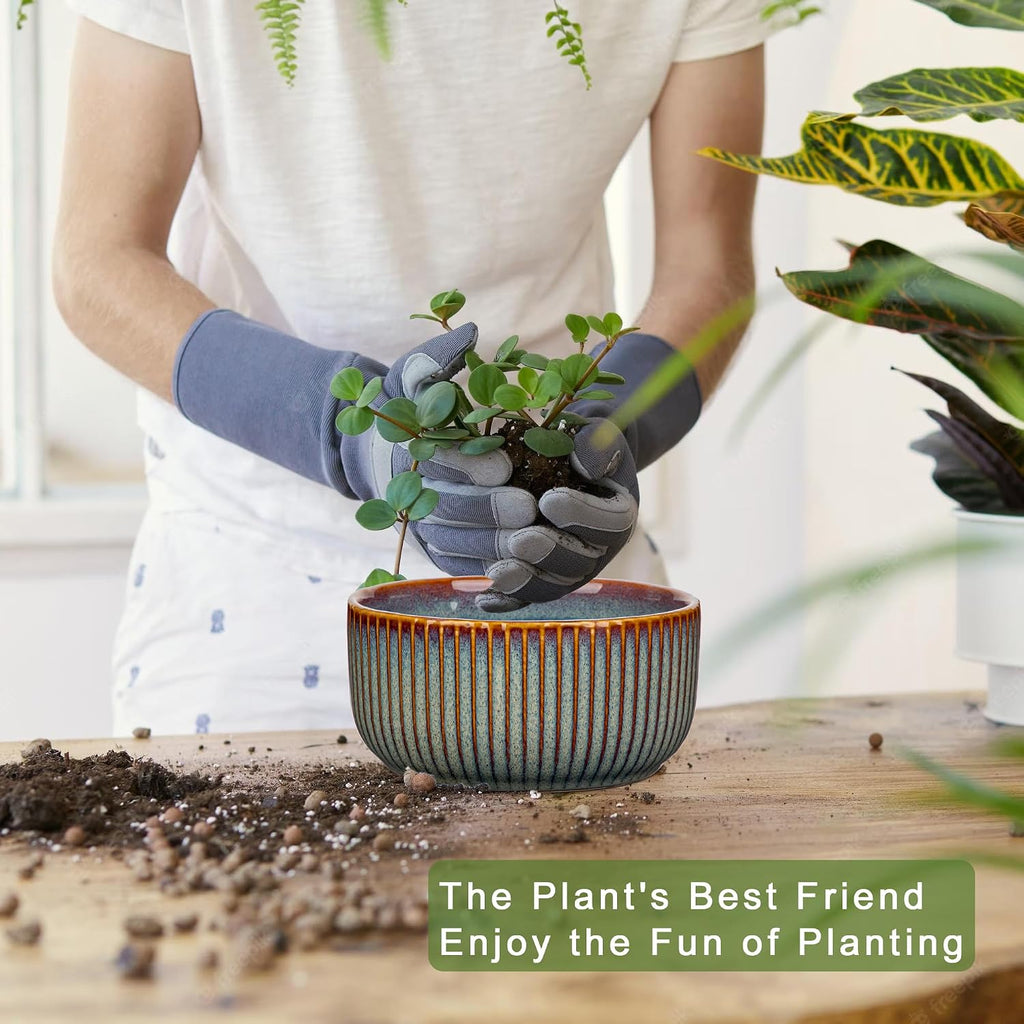 Plant Pots Indoor with Drainage Hole 6 inch Ceramic Plant Pot Sage Green Succulent Pot Small Round Planters for Indoor