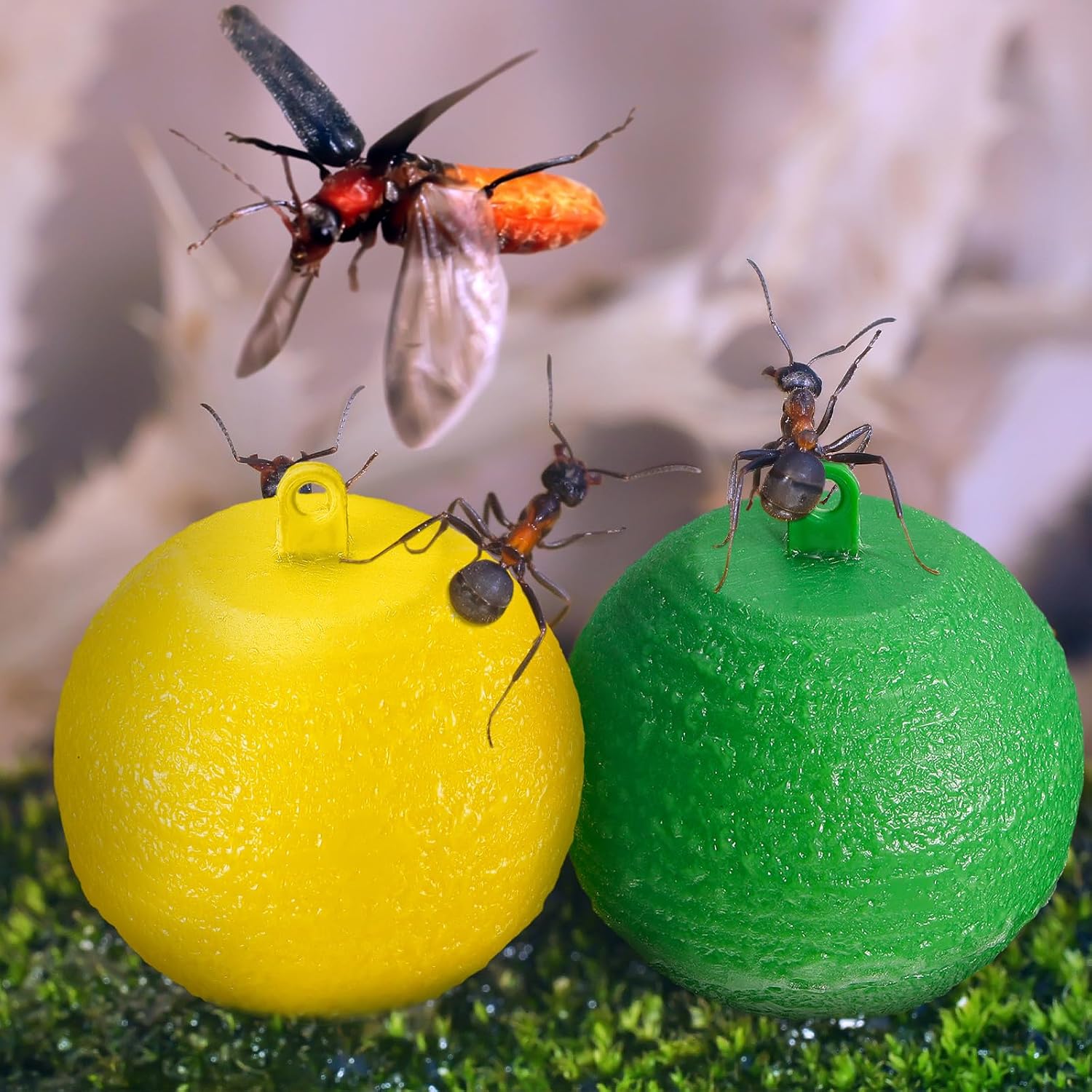 Qualirey 20 Pcs Sticky Fruit Fly Trap Ball Adhesive Fly Catching Ball Sticky Glue Fly Gnat Wasp Hornet Mosquito Bugs