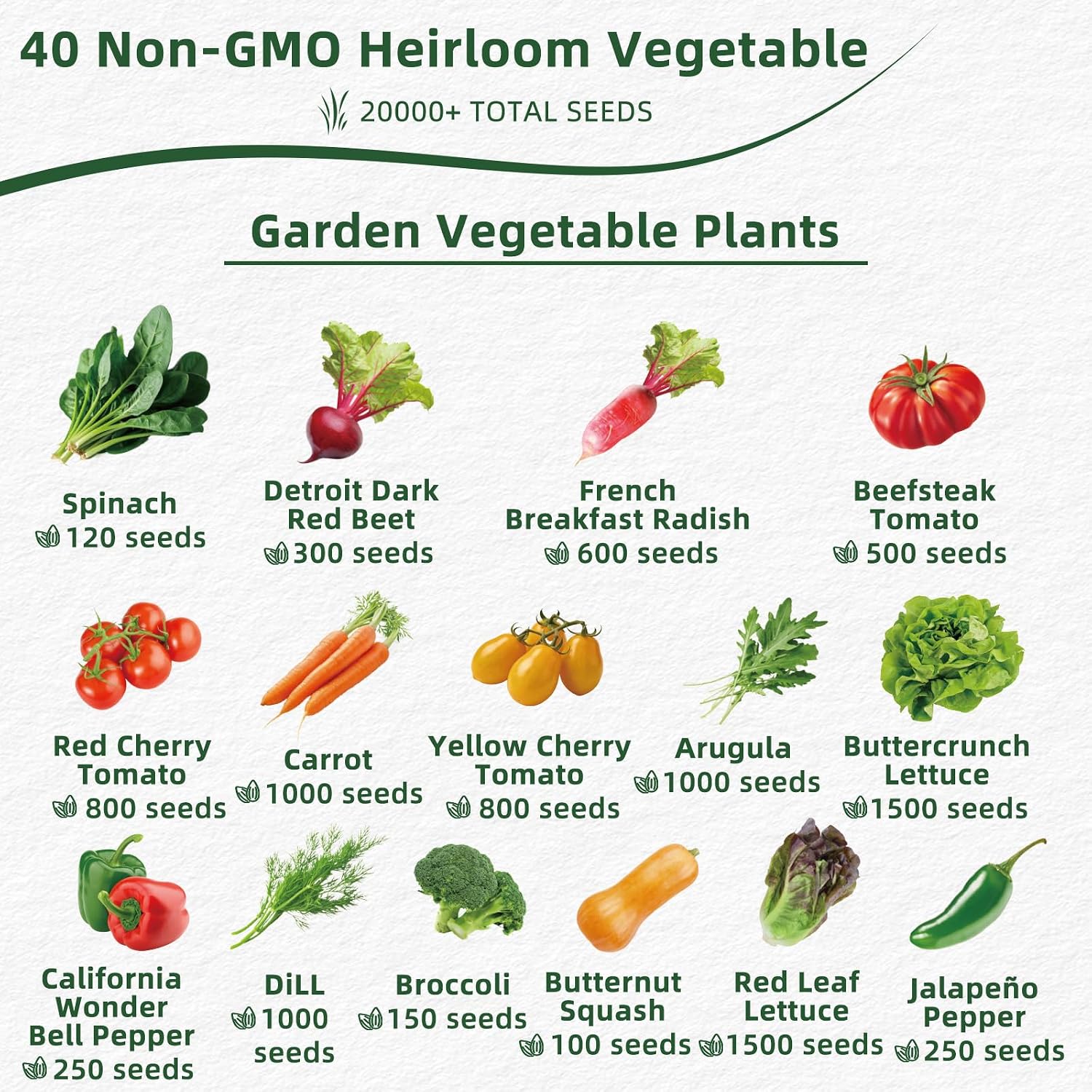 Vegetable Heirloom Seeds Vault Kit | 40 Varieties | 20,000+ High Yield Garden Seeds | Sweet Basil, Cherry Tomato