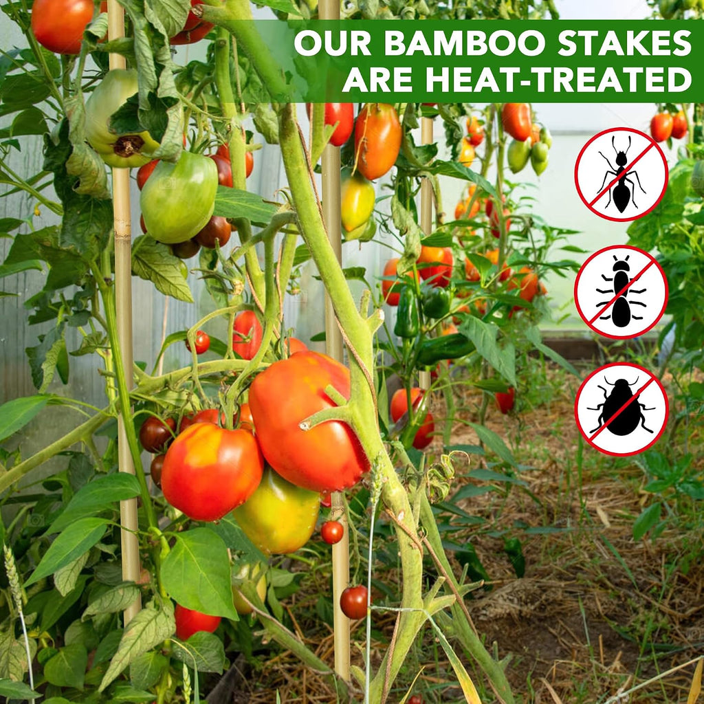 Bamboo Stakes, 5 Feet (58 inch), 70 Pcs | Natural Bamboo Garden Stakes, For Tomatoes, Beans, Vegetable, Flowers