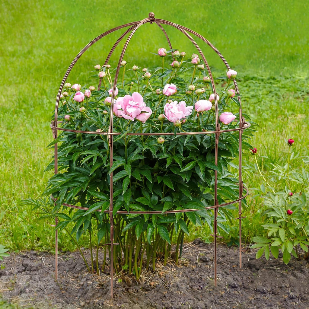 NNG 26 Inch Bird Cage Plant Support, Metal Grow-Through Cage with Dome Top | Garden Flower Trellis for Peonies