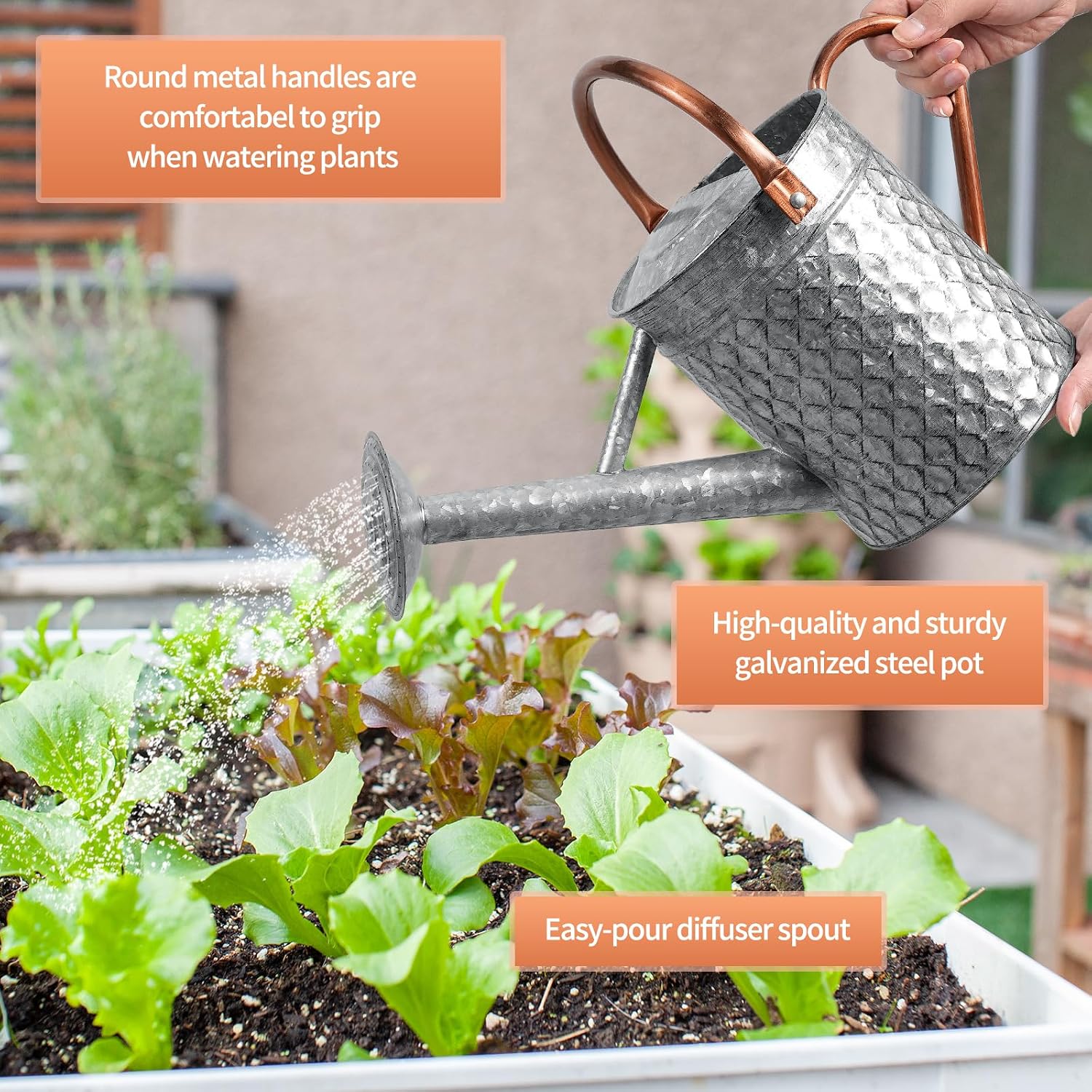 1 Gallon Metal Watering Can for Outdoor Indoor Plants, Galvanized Watering Can with Removable Spray Spout, Ideal for