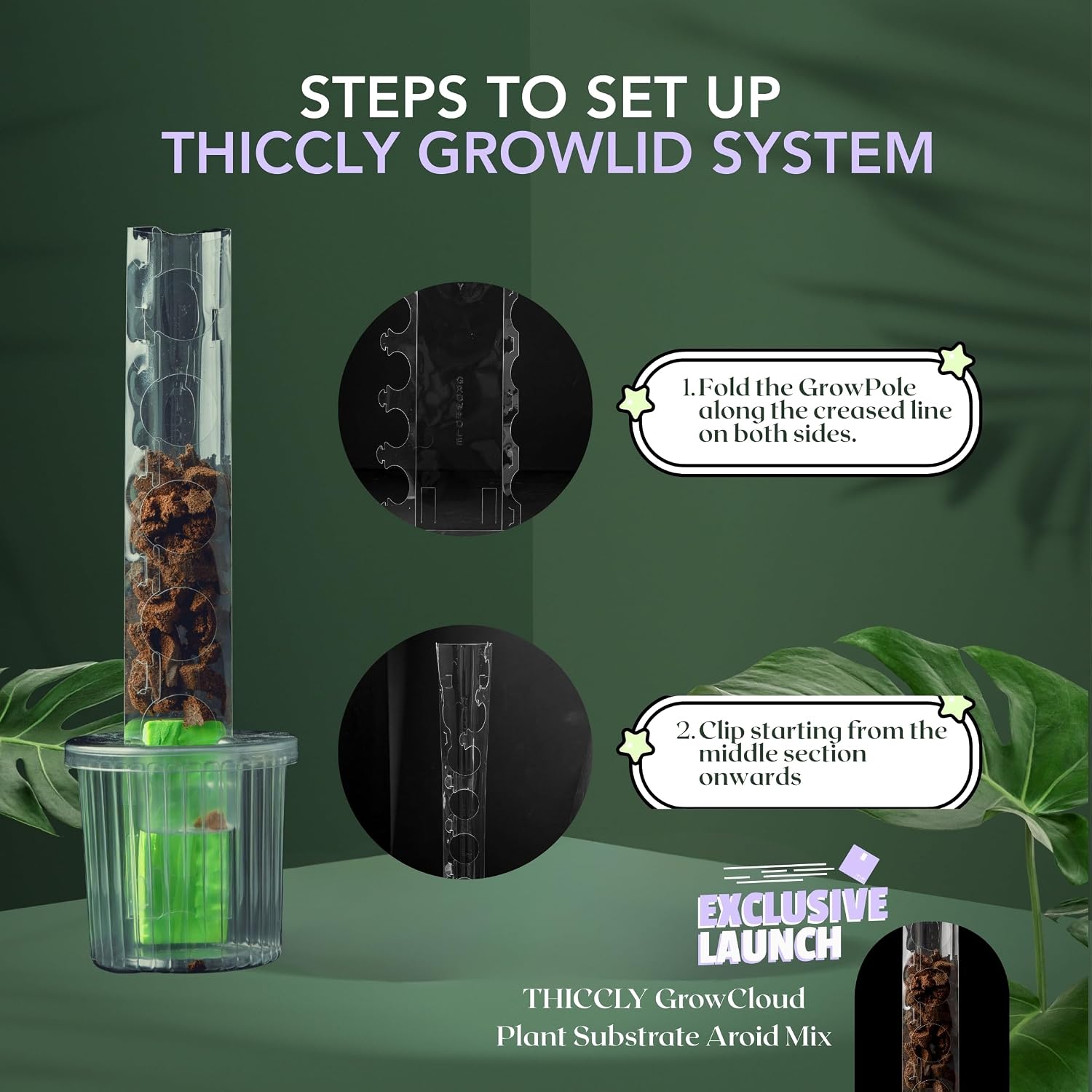 THICCLY Small GrowLid 10 Pcs (Clear) - Self Watering Clear D-Shaped Plastic Moss Pole Hydroponics Growing System Kratky