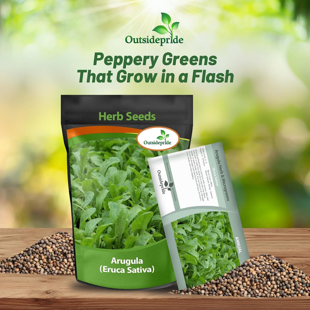 Outsidepride Arugula & Microgreens Seeds - 1 lb. Annual, Easy to Grow & Pollinator Friendly, Herb Seeds for Planting