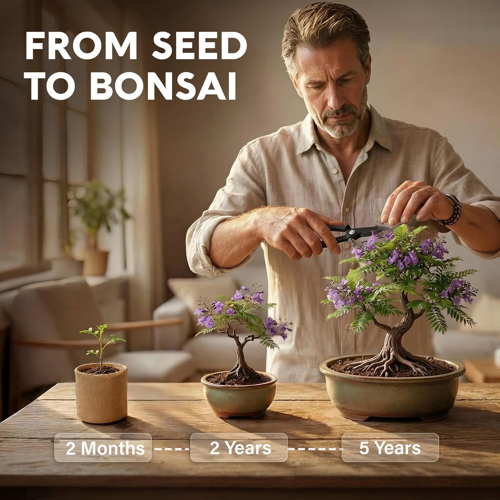 Bonsai Tree Kit Deluxe - Growing 5 Unique Japanese Bonzai Trees | Complete Indoor Bonsai Starter Kits for Growing Trees