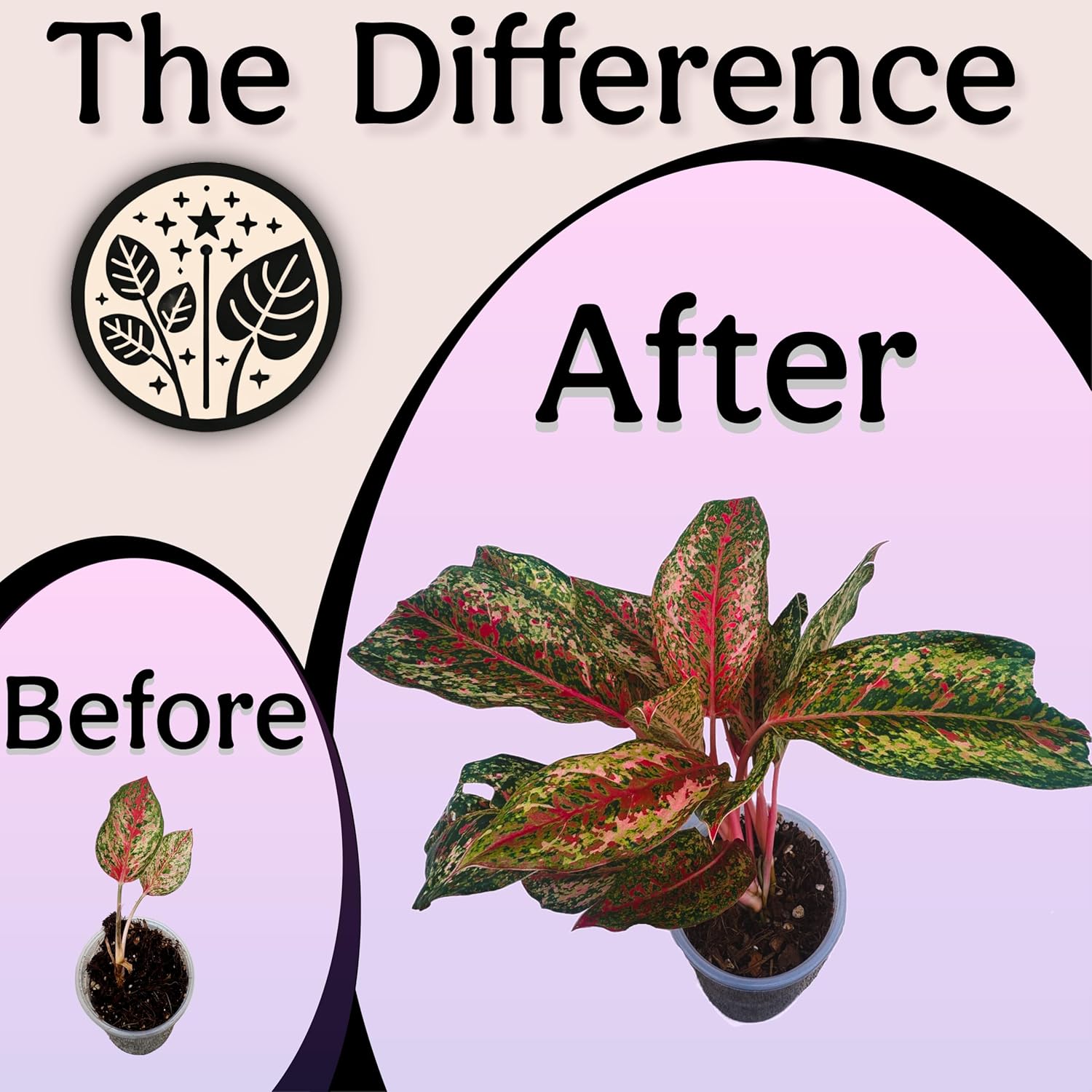 Craft Organic Houseplant Potting Mix, Elite House Plant Soil, Chunky, Well Draining Potting Soil for All Indoor Plants