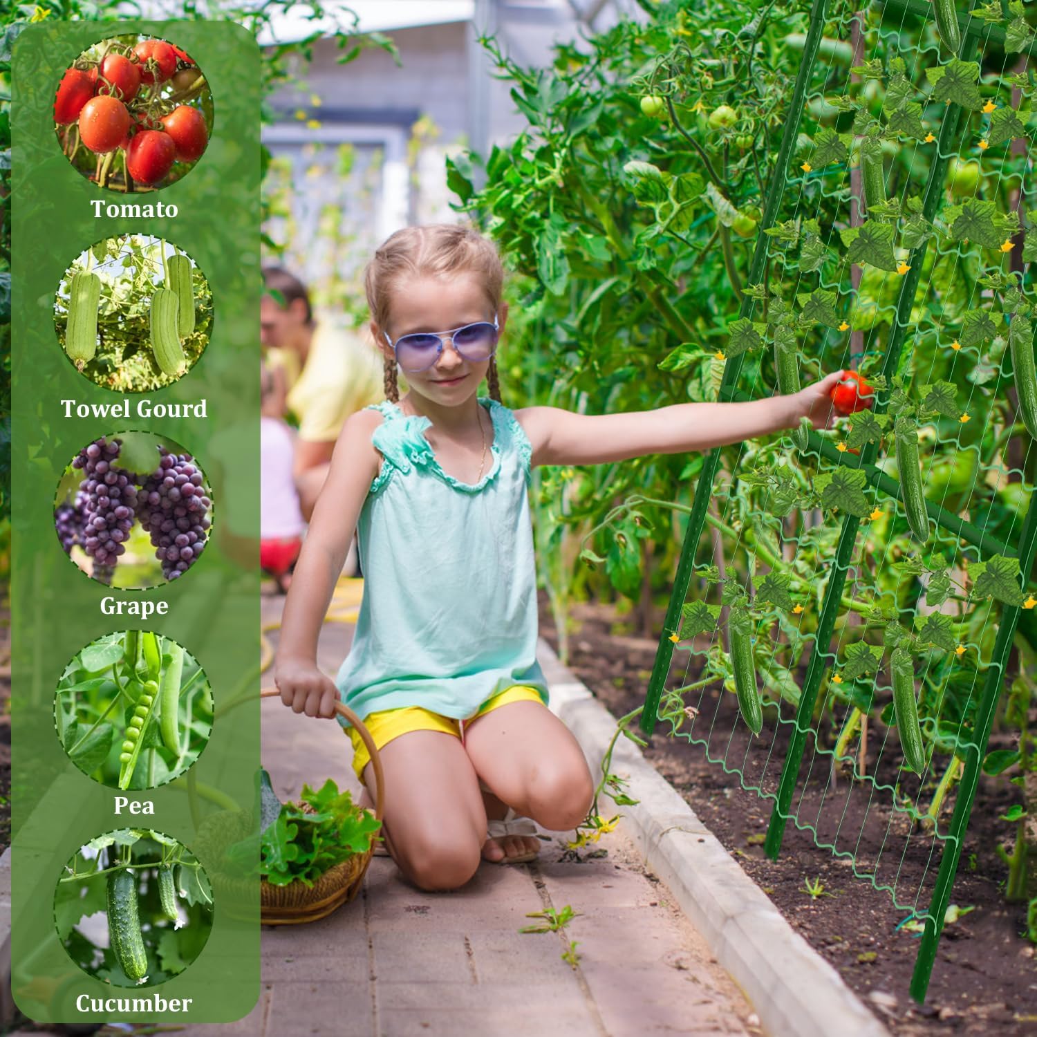 2 Packs Cucumber Trellis for Raised Beds, 31 X 47 Inch Adjustable Size A-Frame Garden Trellis for Climbing Plant