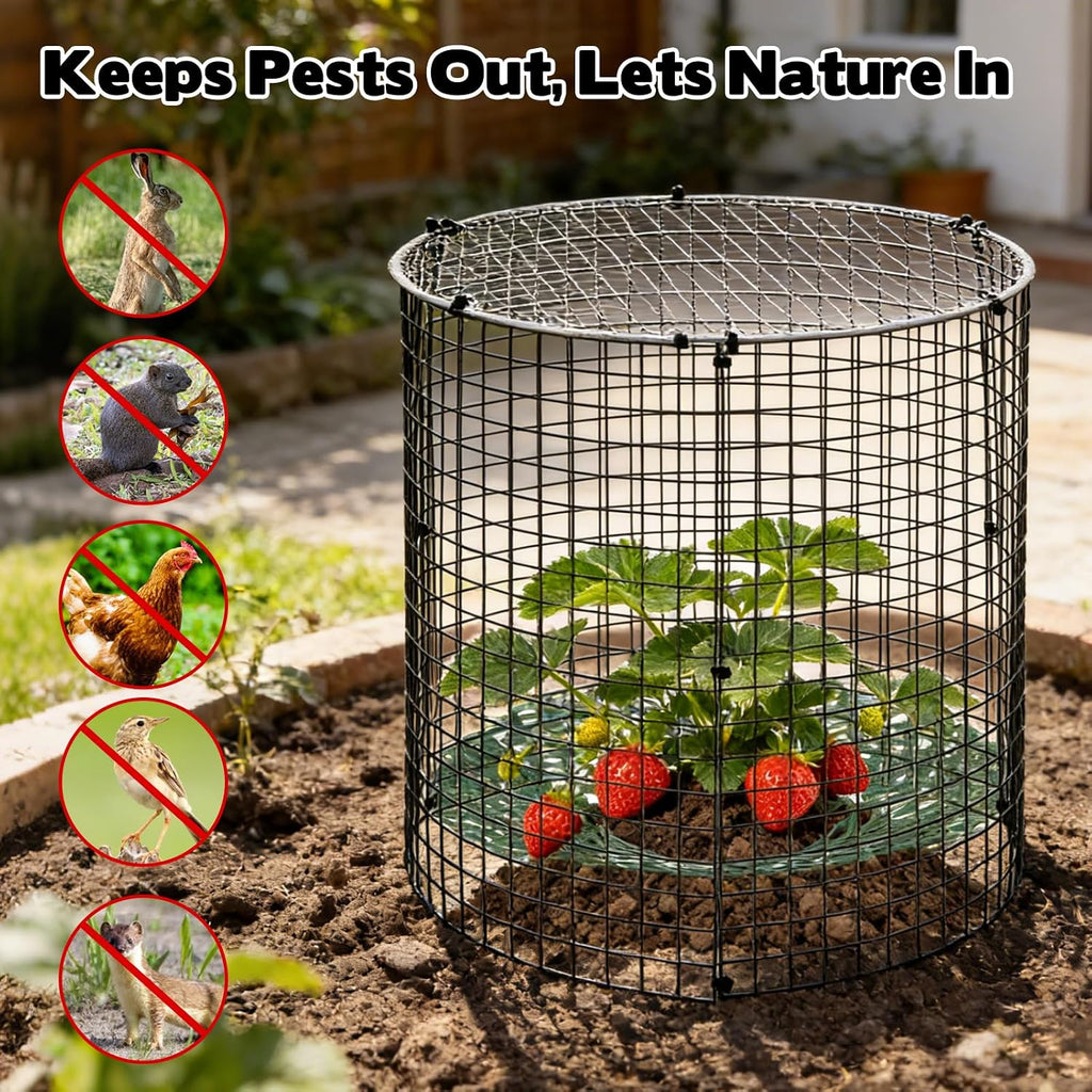 6 Pack Round Upgraded Strawberry Supports with Wire Covers Plant Protectors from Animal - All-in-One Garden Protection
