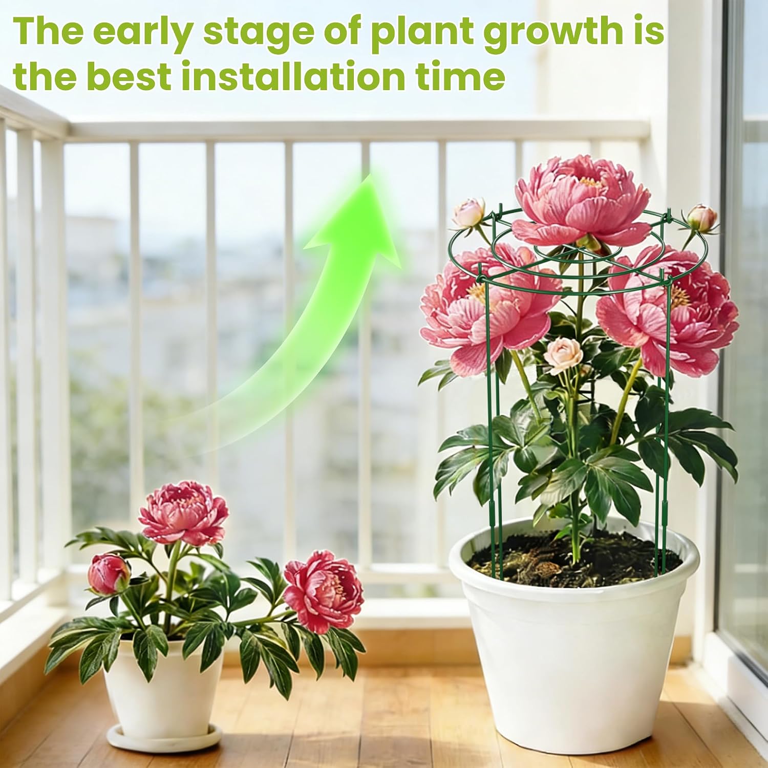 6 Pack Peony Cages and Supports, 12" x 24" Tall Peonies Support Cage | Heavy Duty Metal Peony Stakes and Supports for