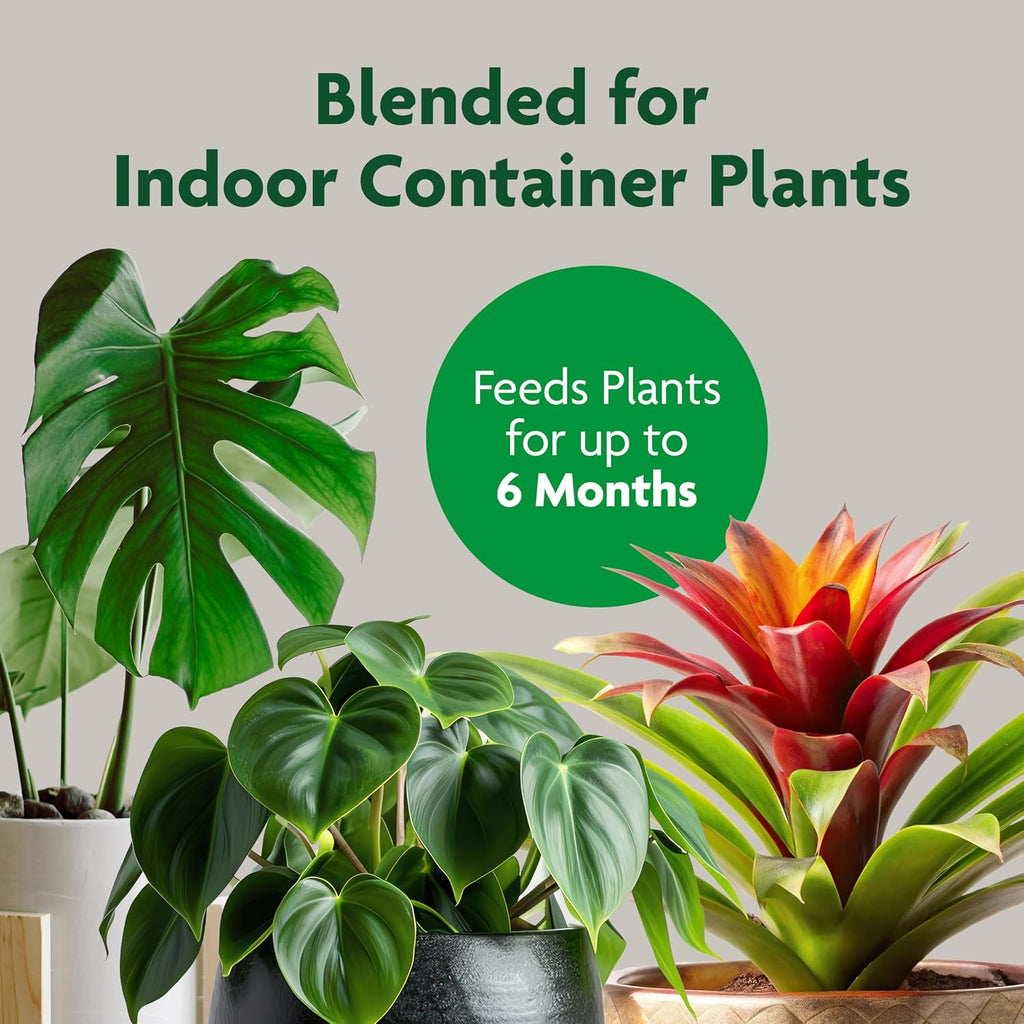 Gro Indoor Potting Mix, Blended for a Variety of Houseplants, Feeds for up to 6 Months, 6 qt., 3-Pack