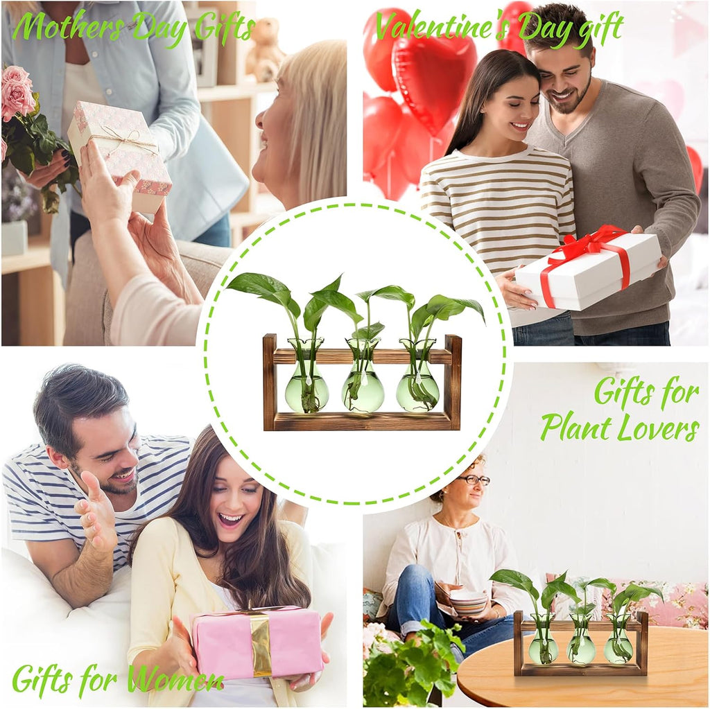 Plant Propagation Station Plant Terrarium Unique Birthday Gifts for Women | Plant Lovers Home Office Decor Planter with