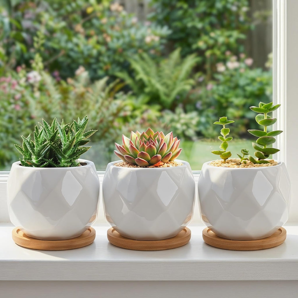 6 Pack Ceramic Succulent Planter Pot with Bamboo Tray, 4 Inch Small White Diamond Shaped Cactus Herb Flowers Planter