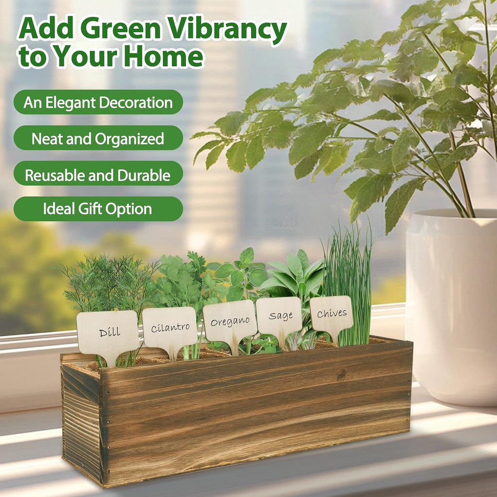 5 Herb Garden Planter Indoor with Wooden Box, Home Kitchen Seed Starter Kit Including Dill, Cilantro, Oregano, Sage