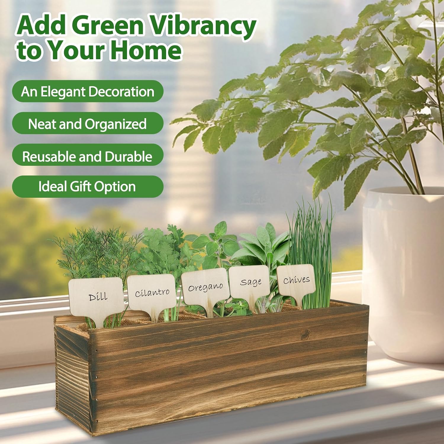5 Herb Garden Planter Indoor with Wooden Box, Home Kitchen Seed Starter Kit Including Dill, Cilantro, Oregano, Sage