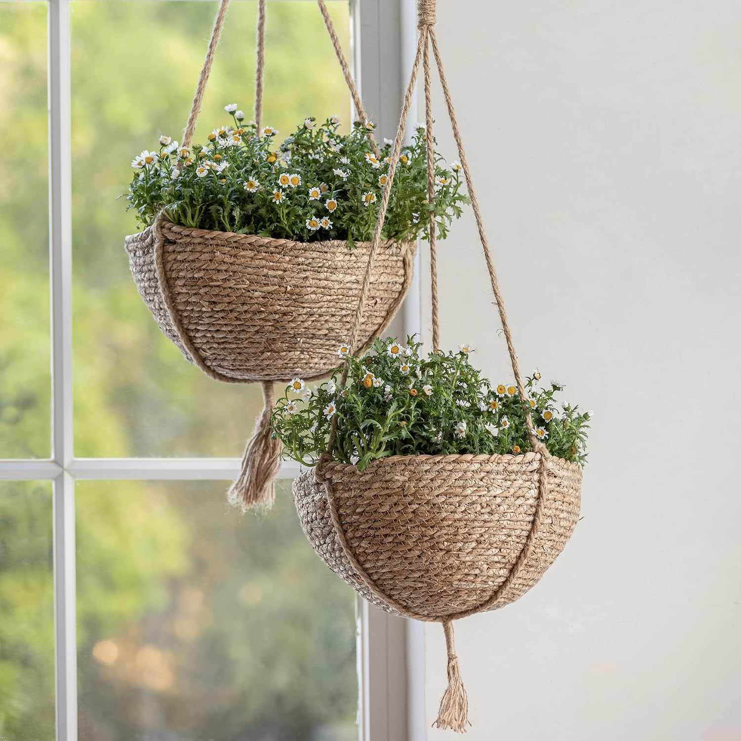 Natural Seagrass Hanging Planter Basket Set, Indoor Plant Pots, Boho Decor Plant Pot Cover, 12.4 (D) 6.3 (H) Inch, Pack