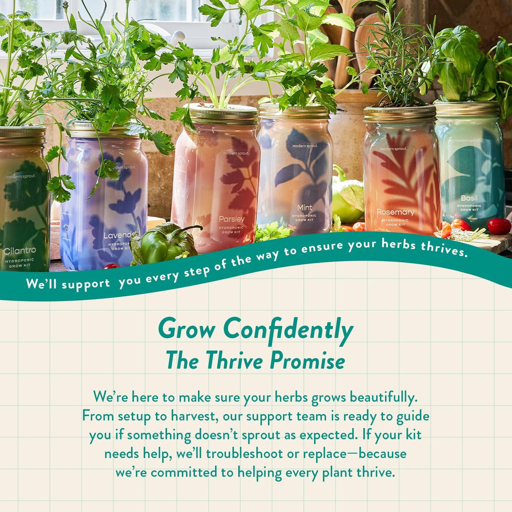 Modern Sprout Mason Jar+Replant Kit- Self-Watering Hydroponics System-Basil | Growing System Kit w/Organic Herb Seeds
