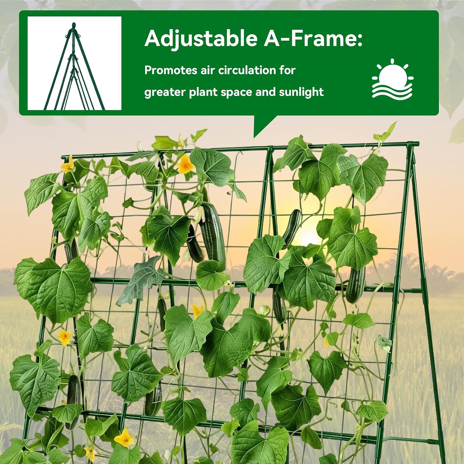 Cucumber Trellis - 49.4"*49.4" Metal Garden Trellis for Climbing Plants, Garden Trellis with Plastic-Coated Steel Pipe