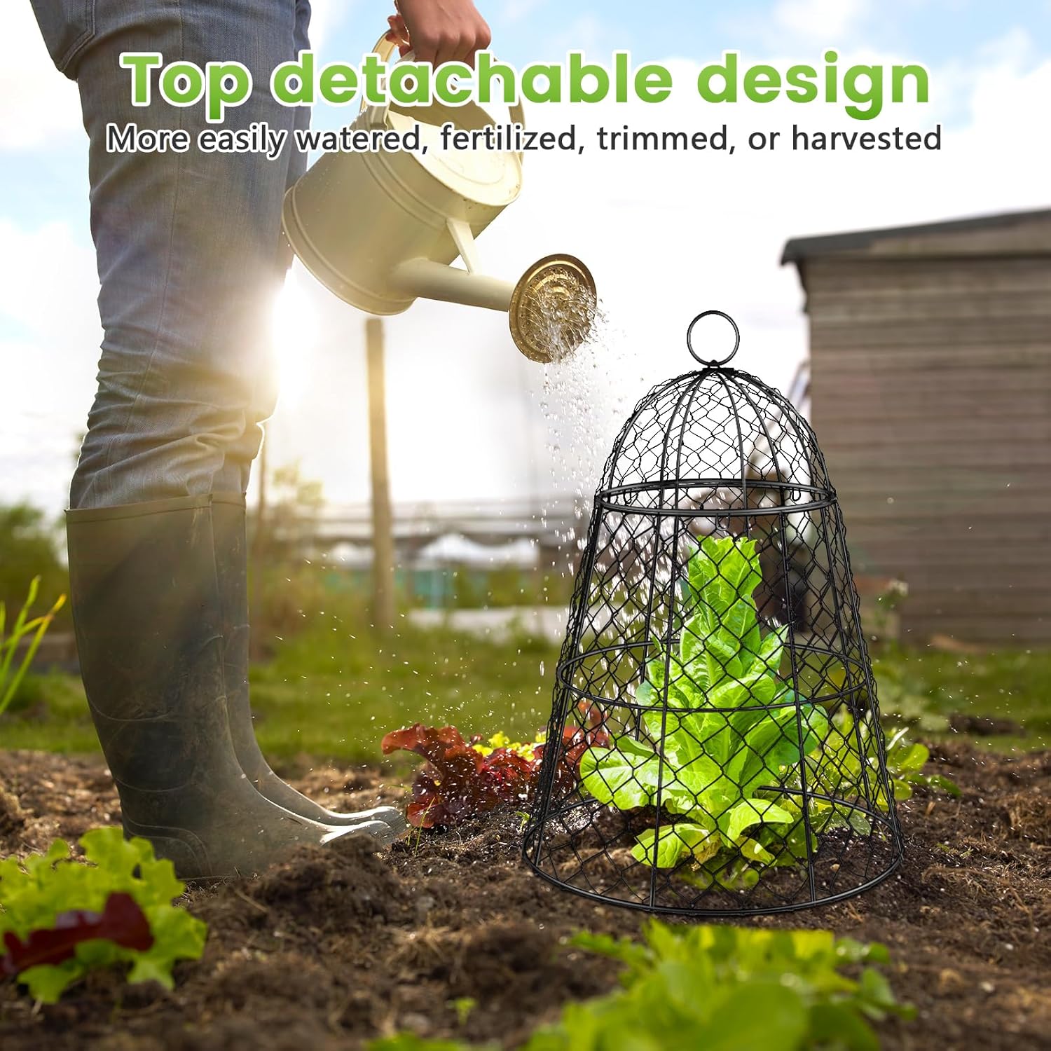 6 Pcs Garden Cloches for Plants, Metal Extra Large Chicken Wire Cloche Plant Covers, Garden Netting Plant Protectors