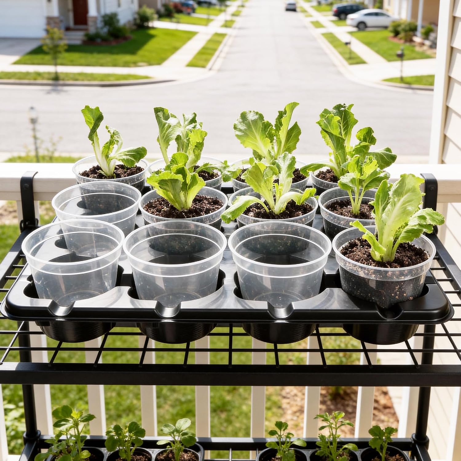 4 Inch Seed Starting Trays with Humidity Domes for Plants, 4 Pack 12-Cell Seedling Starter Trays, Plant Starter