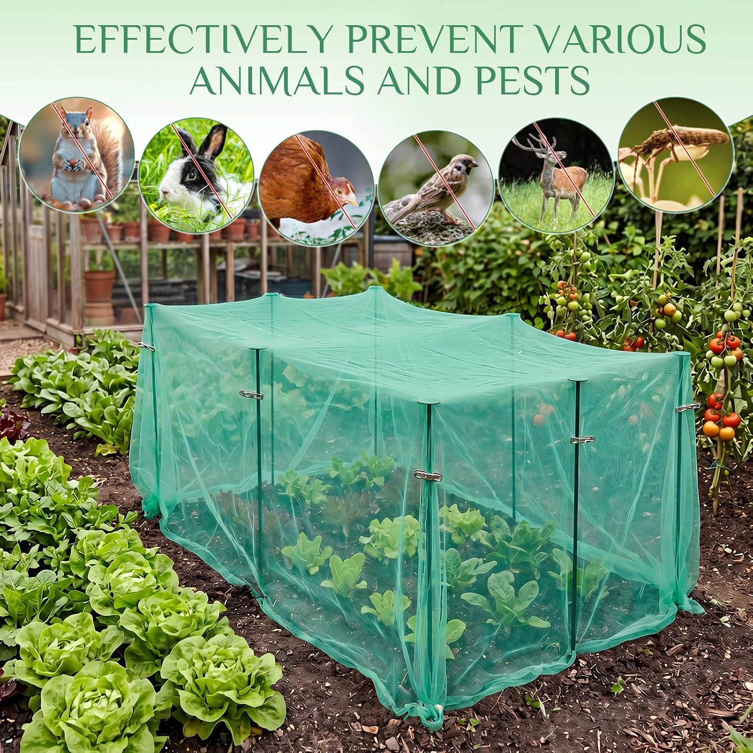 Metal Garden Netting Kit, 16.4 x 9.84 ft,Green