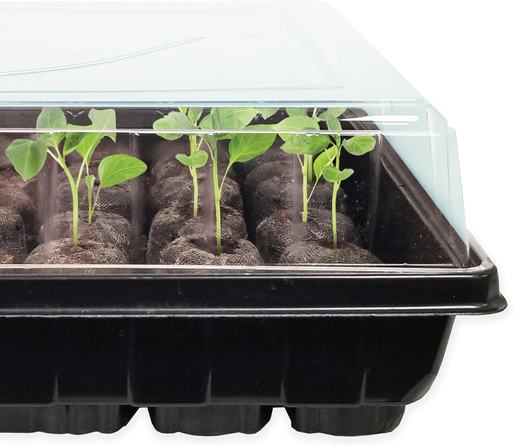 Ferry Morse Jiffy Seed Starting Greenhouse Tray Kit with 72 36mm Peat Pellets and Bonus SUPERthrive Sample + Plant