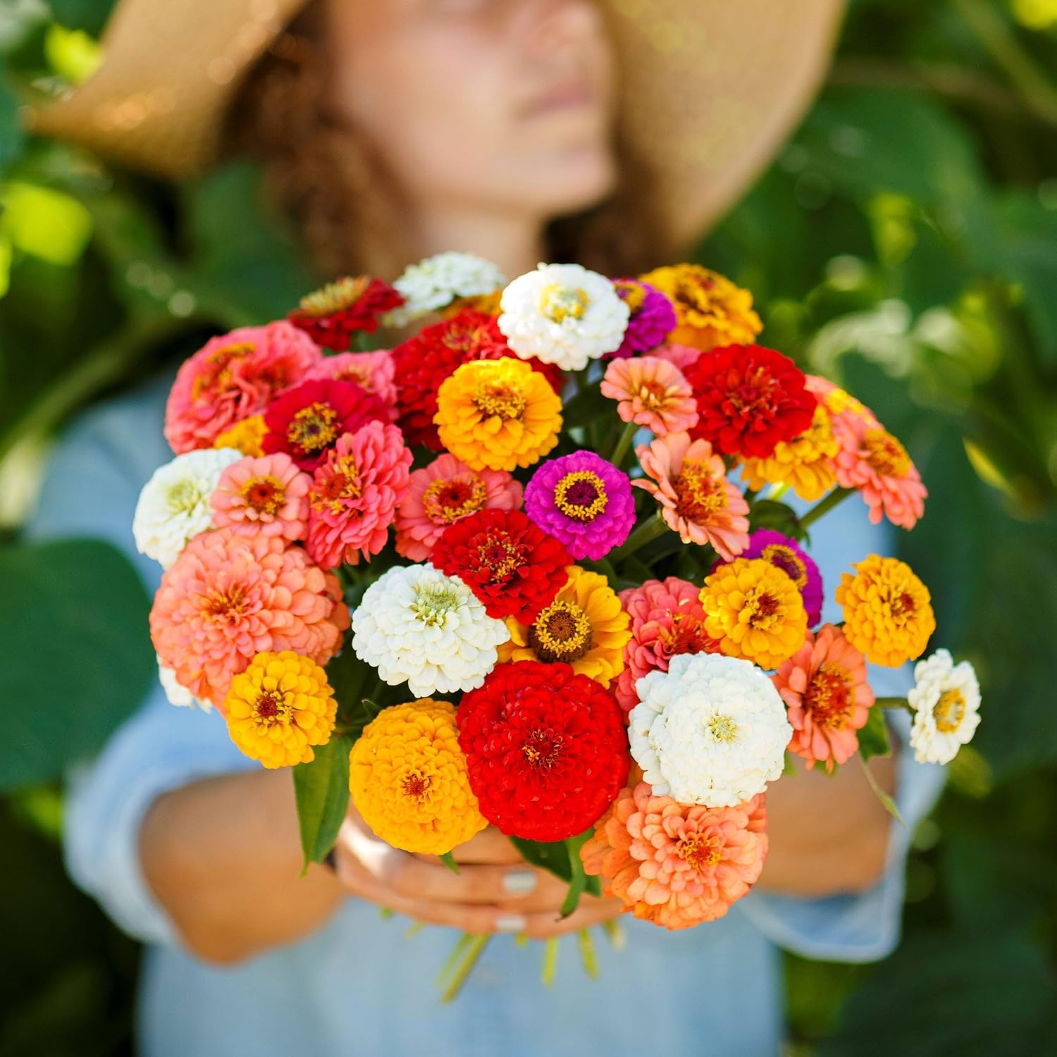 Eden Brothers Zinnia Seeds - Pumila/Cut & Come Again Mix, 1/4 lb | Non-GMO Seeds for Planting, Low-Maintenance Flower