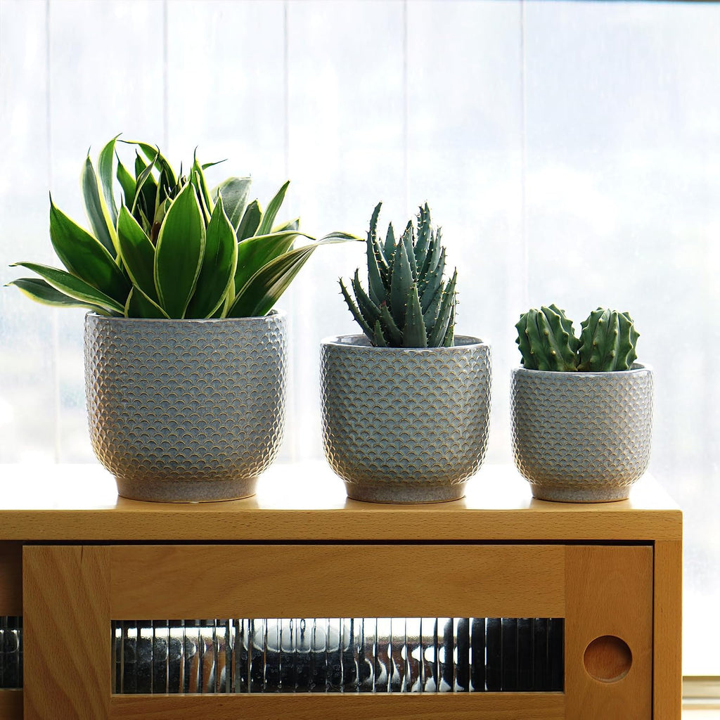4 + 5 + 6 Inch Ceramic Pots for Indoor Plants, Succulents Plant Pots, Orchid Flower Pot with Drainage Hole, Modern Clay