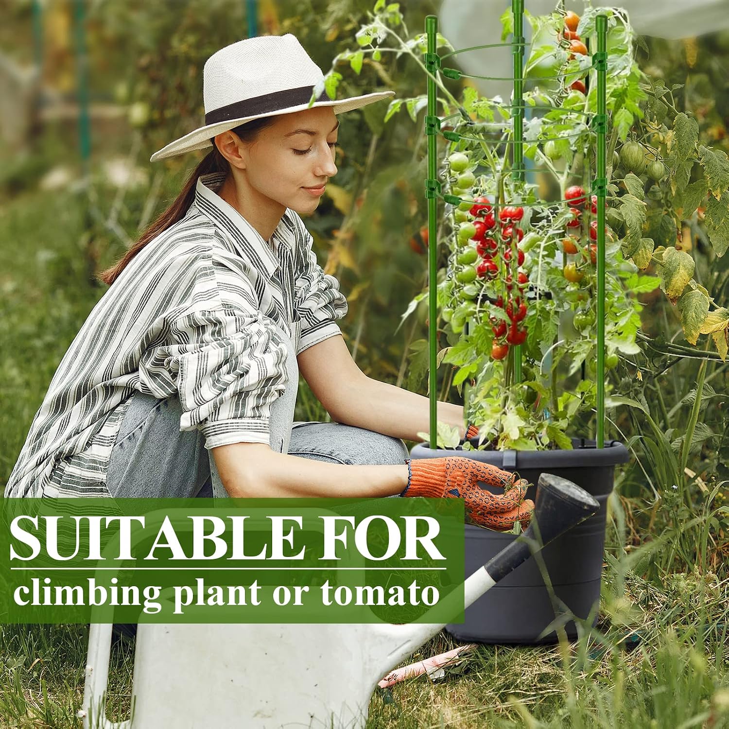 4 Packs 30inch Plant Support Cages with 3 Adjustable Support Rings- Small Tomato Cage for Pots Plant Holder for Home