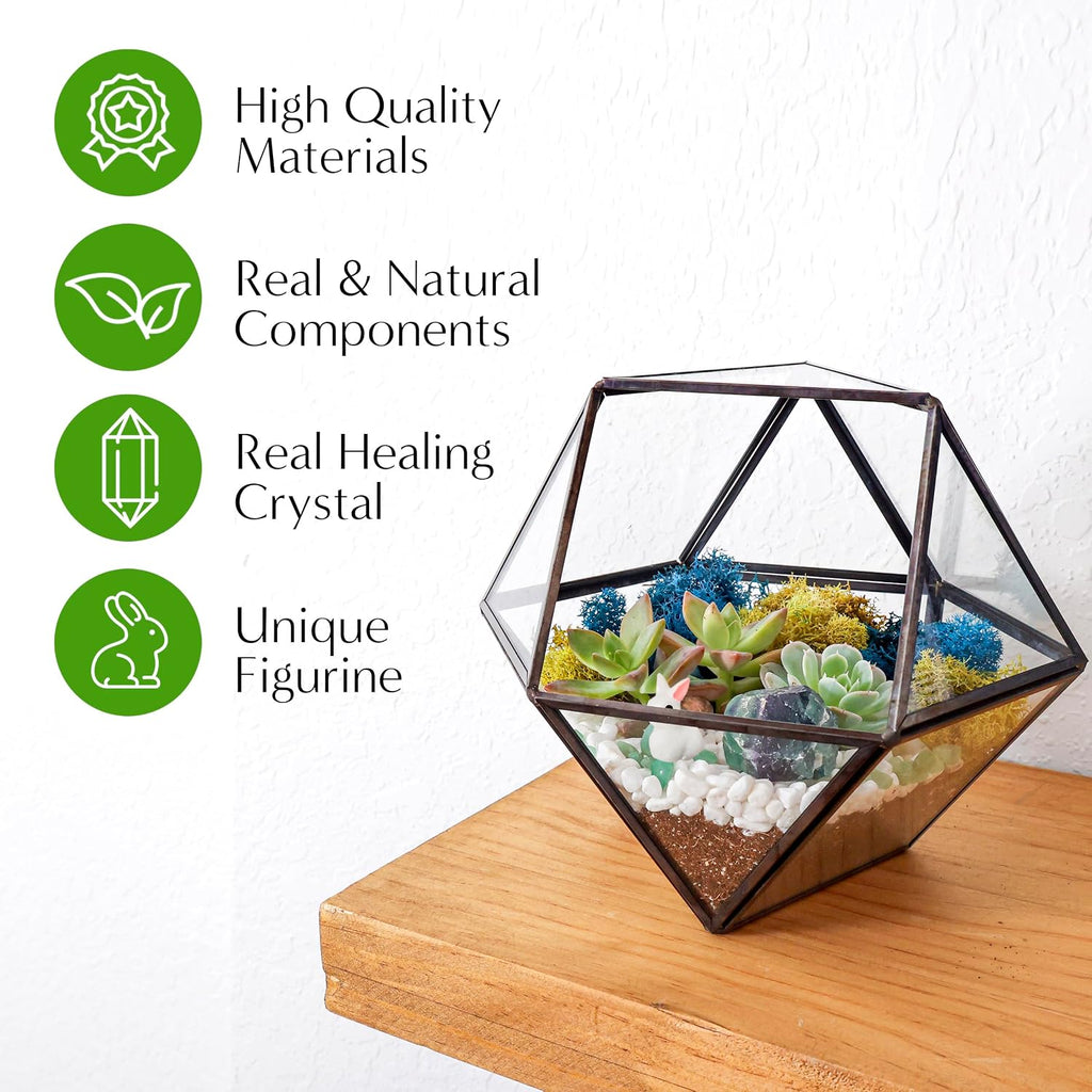 Creations by Nathalie DIY 7" Chalice Glass Terrarium Kit with Moss & Tools | DIY geometric glass terrarium kit with