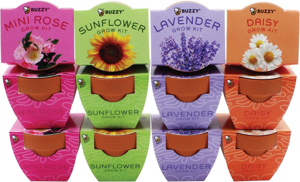 Buzzy Seeds Bright Series Grow Kit, Assorted 12-Pack - Mini Terracotta Pot Grow Set - Complete Indoor/Outdoor Gardening