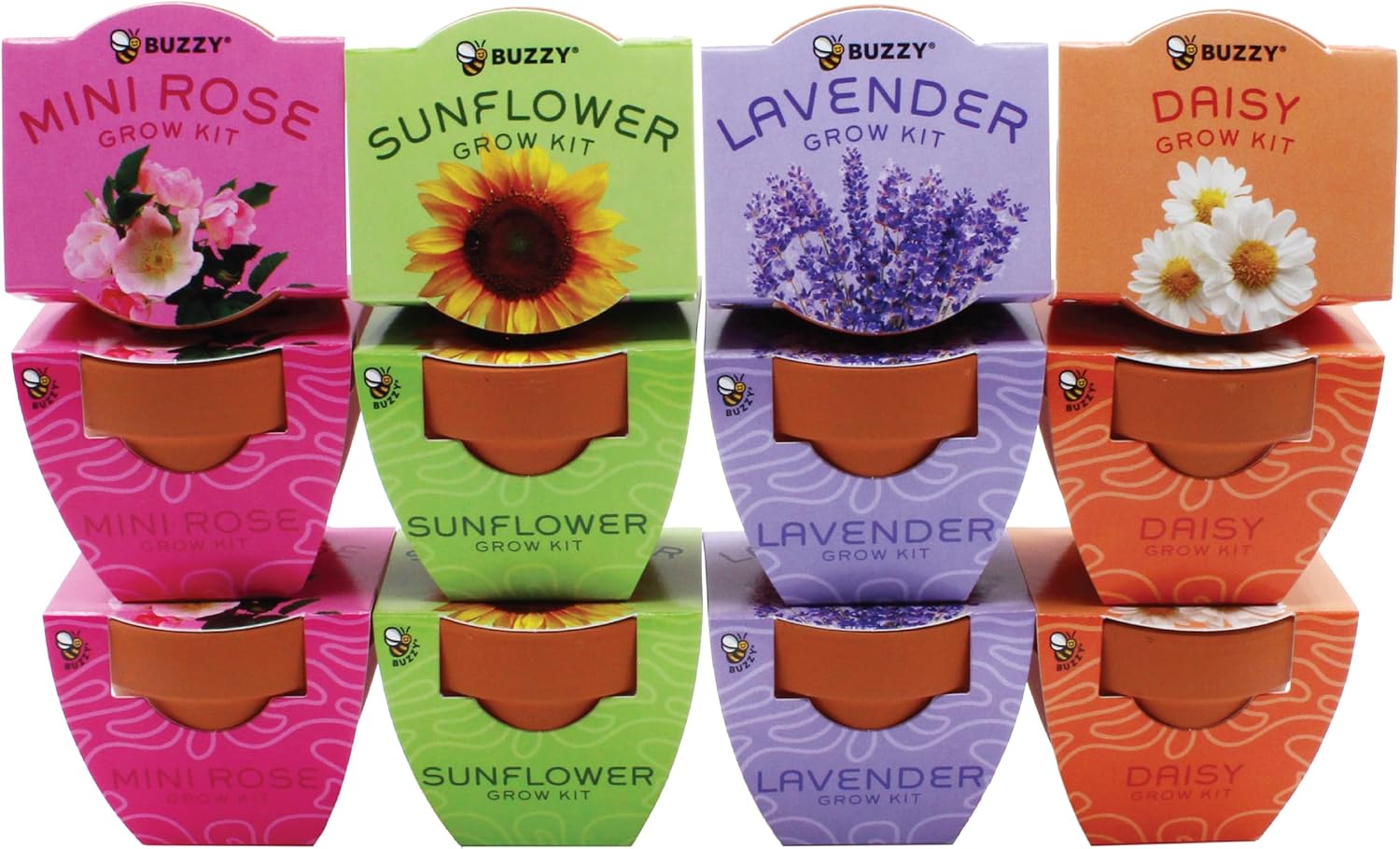 Buzzy Seeds Bright Series Grow Kit, Assorted 12-Pack - Mini Terracotta Pot Grow Set - Complete Indoor/Outdoor Gardening