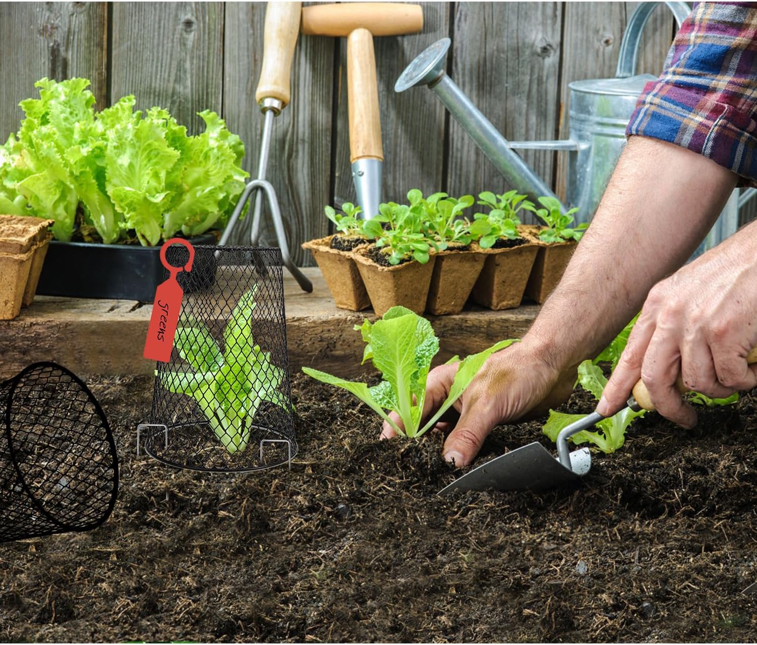 10 Pcs 6.8"×7.4" (Multiple Sizes/Quantities Available) Seedling Plant Protectors from Animals, Chicken Wire Plant Cage