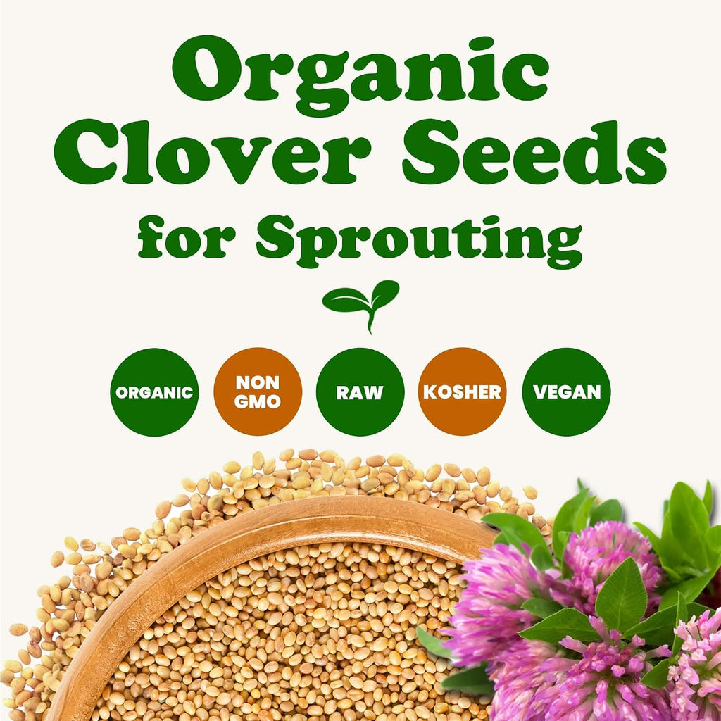 Food to Live Organic Clover Seeds for Sprouting, 3 Pounds Non-GMO, Pure, Vegan, Kosher, Bulk. Edible Seeds. Rich in