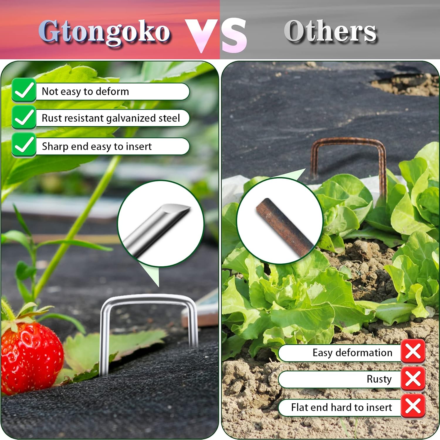 Gtongoko 200 Pack Galvanized Landscape Staples Garden Stakes Plant Cover Stakes 6 Inch 11 Gauge SOD Staples Fence