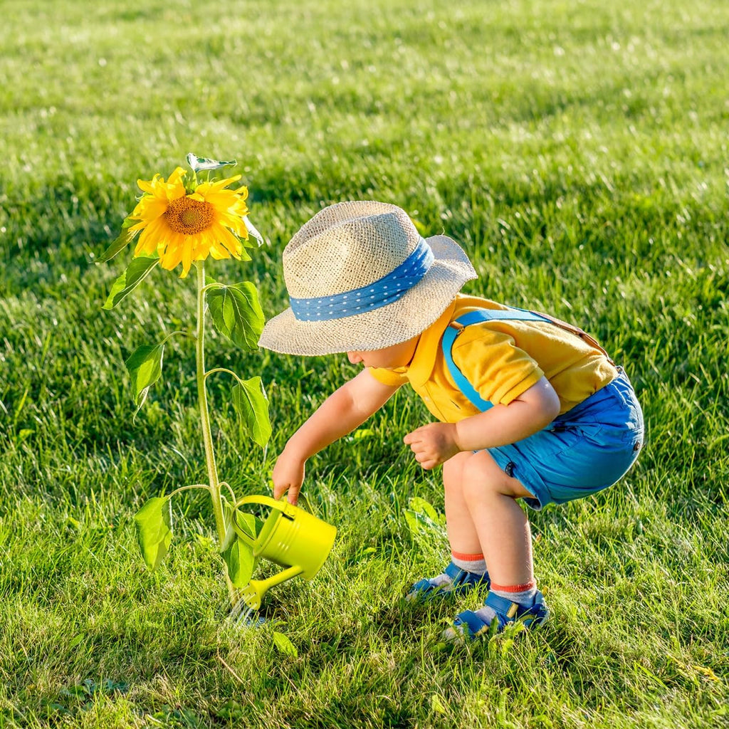 Homoyoyo 5pcs Kids Metal Watering Can Indoor Plants Children Small Watering Cans Iron Sprinkling Kettles for Gardening