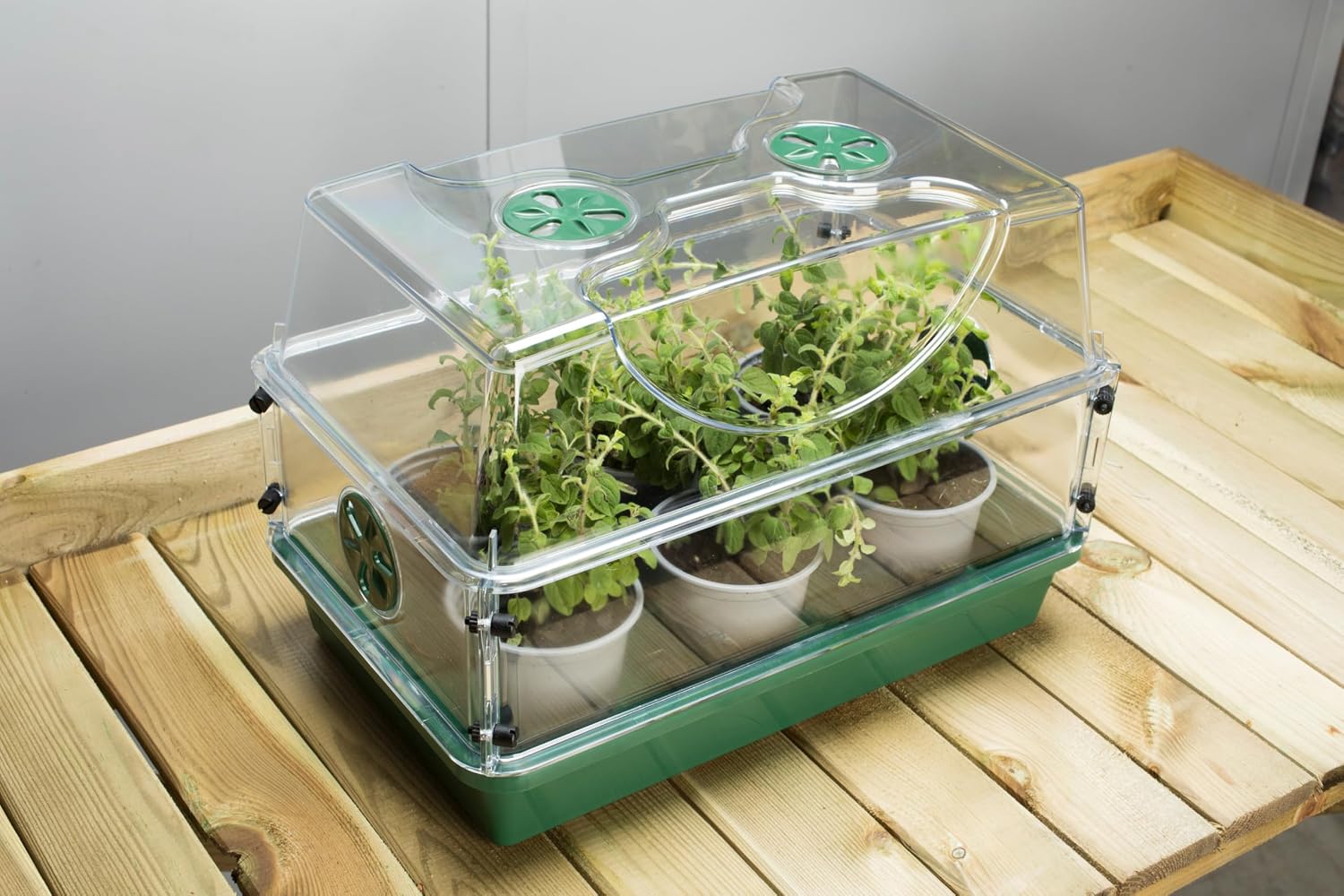 Medium Seed and Herb Domed Propagator with Vented Side Height Extension and Security Clip Set,Green