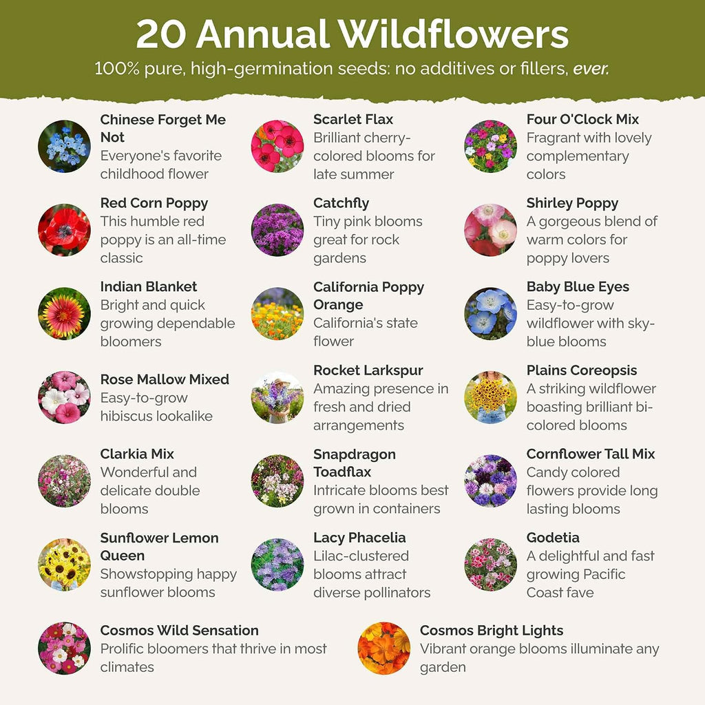 Eden Brothers All Annual Wildflower Mixed Seeds for Planting, 1 lb | 480,000+ Seeds with Sunflower, Indian Blanket