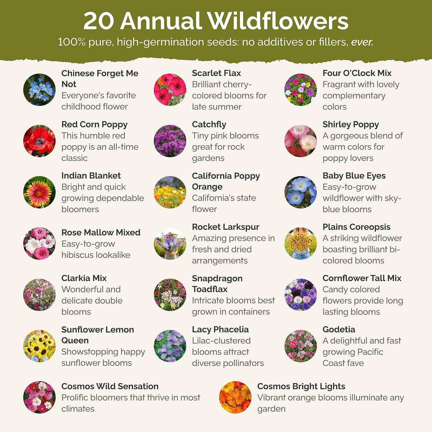 Eden Brothers All Annual Wildflower Mixed Seeds for Planting, 1 lb | 480,000+ Seeds with Sunflower, Indian Blanket