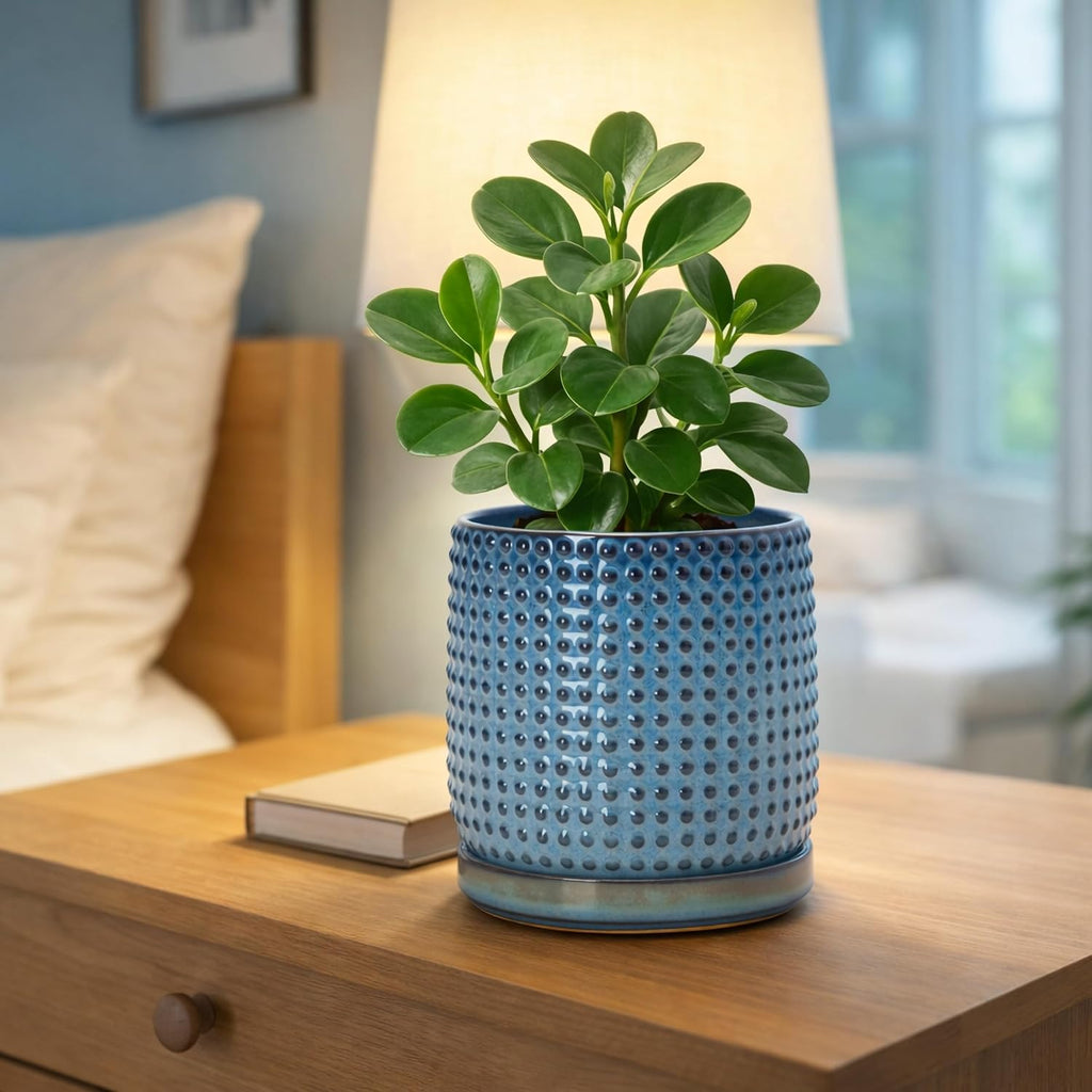 D'vine Dev Beaded Ceramic Pot with Saucer, 6 in, Ocean Teal, 27-C-X-8 | Embossed Dot Texture, Smooth Glazed Finish