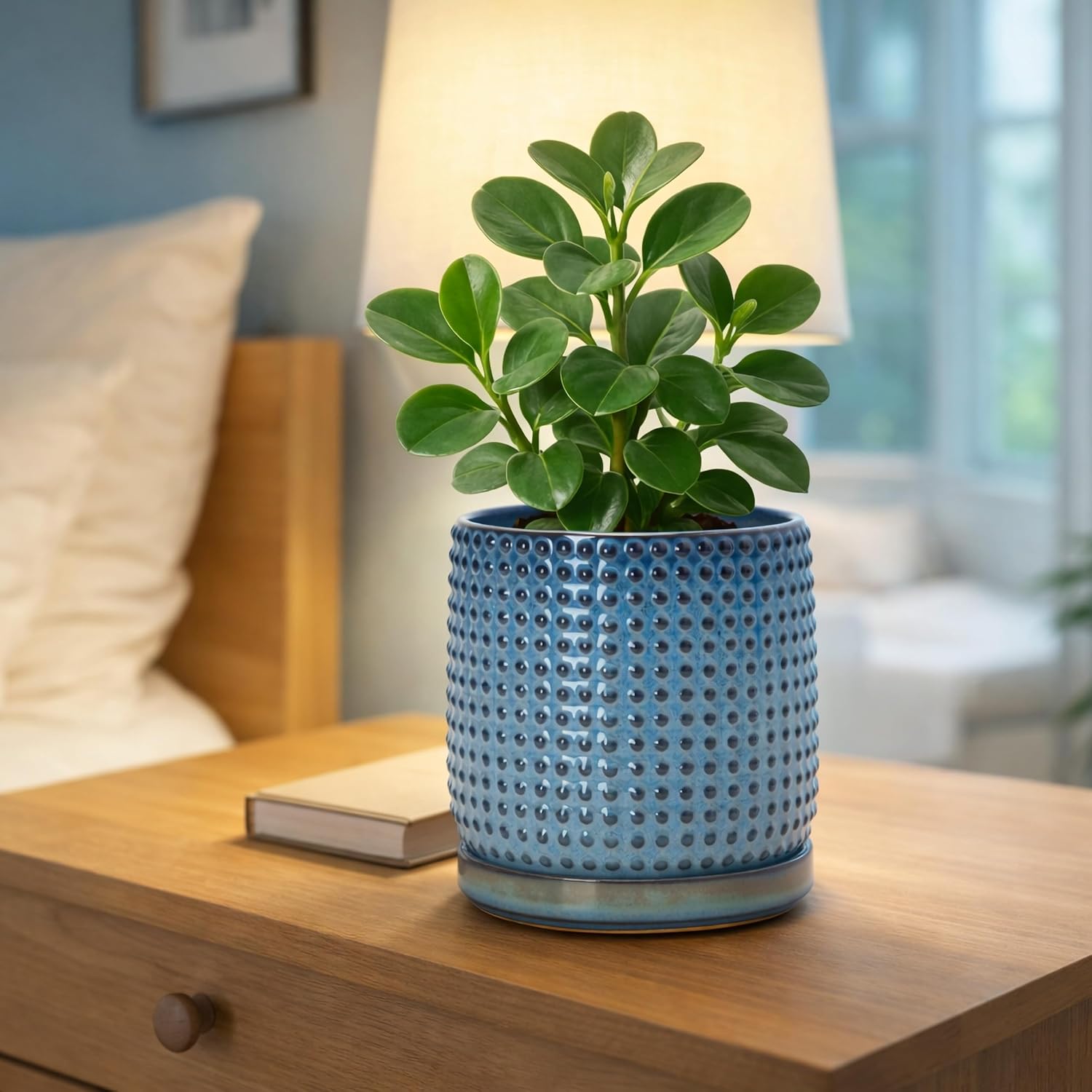 D'vine Dev Beaded Ceramic Pot with Saucer, 6 in, Ocean Teal, 27-C-X-8 | Embossed Dot Texture, Smooth Glazed Finish