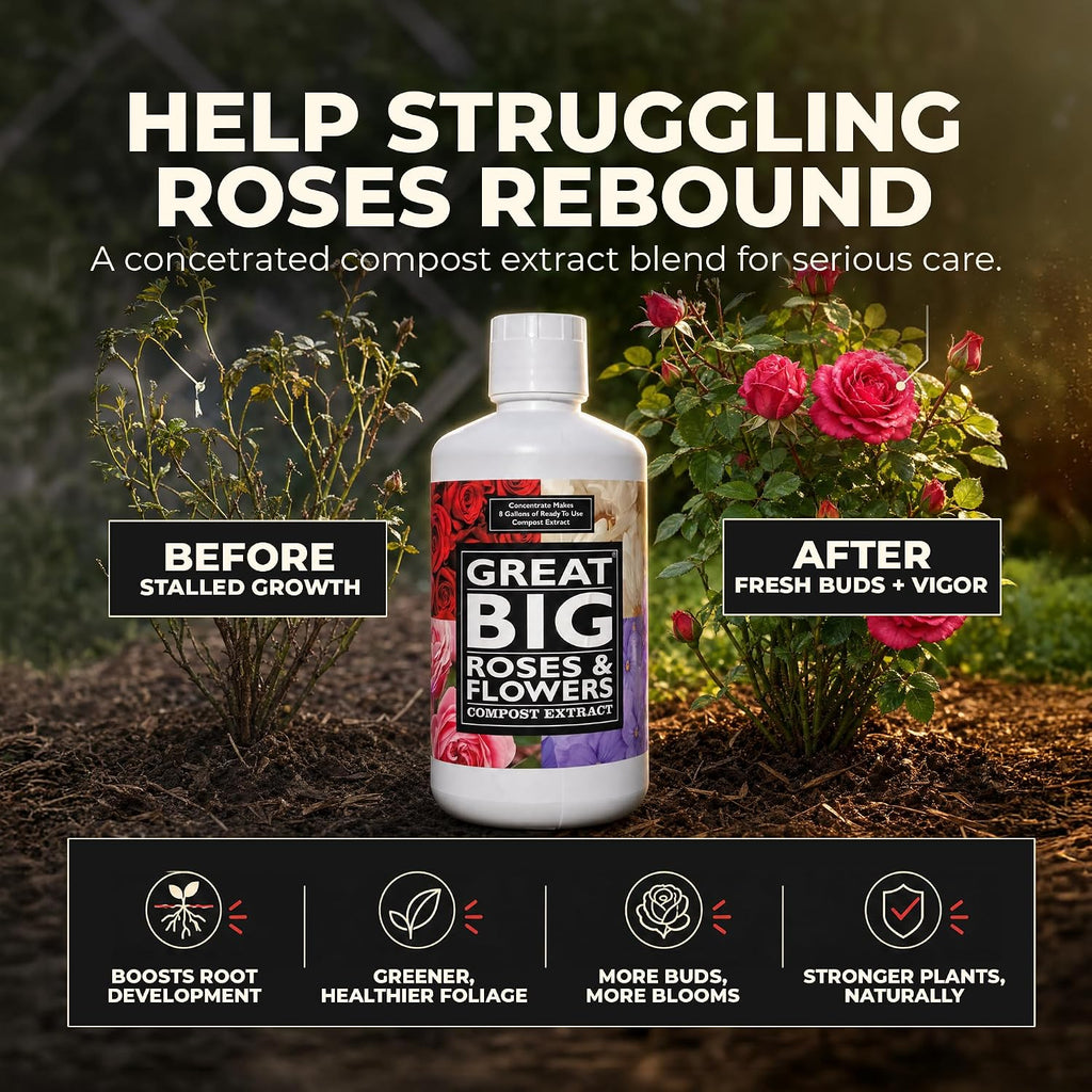 Great Big Roses Fertilizer Booster for Rose & Flower Gardens, 32 Ounce | Organic; For Roses, Flowers, Hydrangeas &