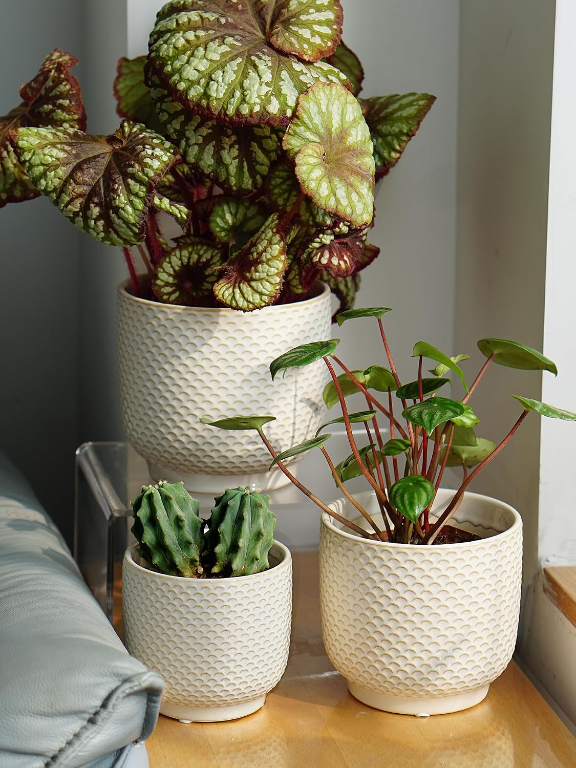 4 + 5 + 6 Inch Ceramic Pots for Indoor Plants, Succulents Plant Pots, Orchid Flower Pot with Drainage Hole, Modern Clay