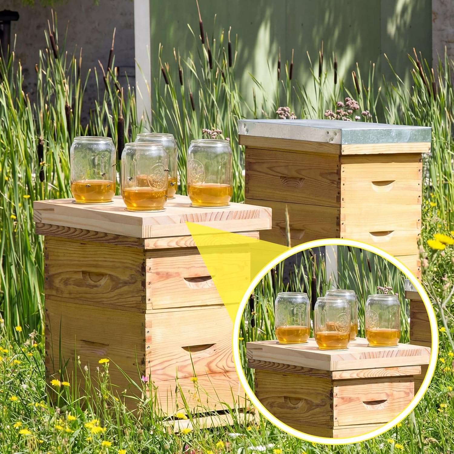 Rtteri 1 Pcs Bee Feeders for Hives with 4 Lids Wooden Honey Mason Jar Beehive Entrance Feeder for Beekeeping Bee
