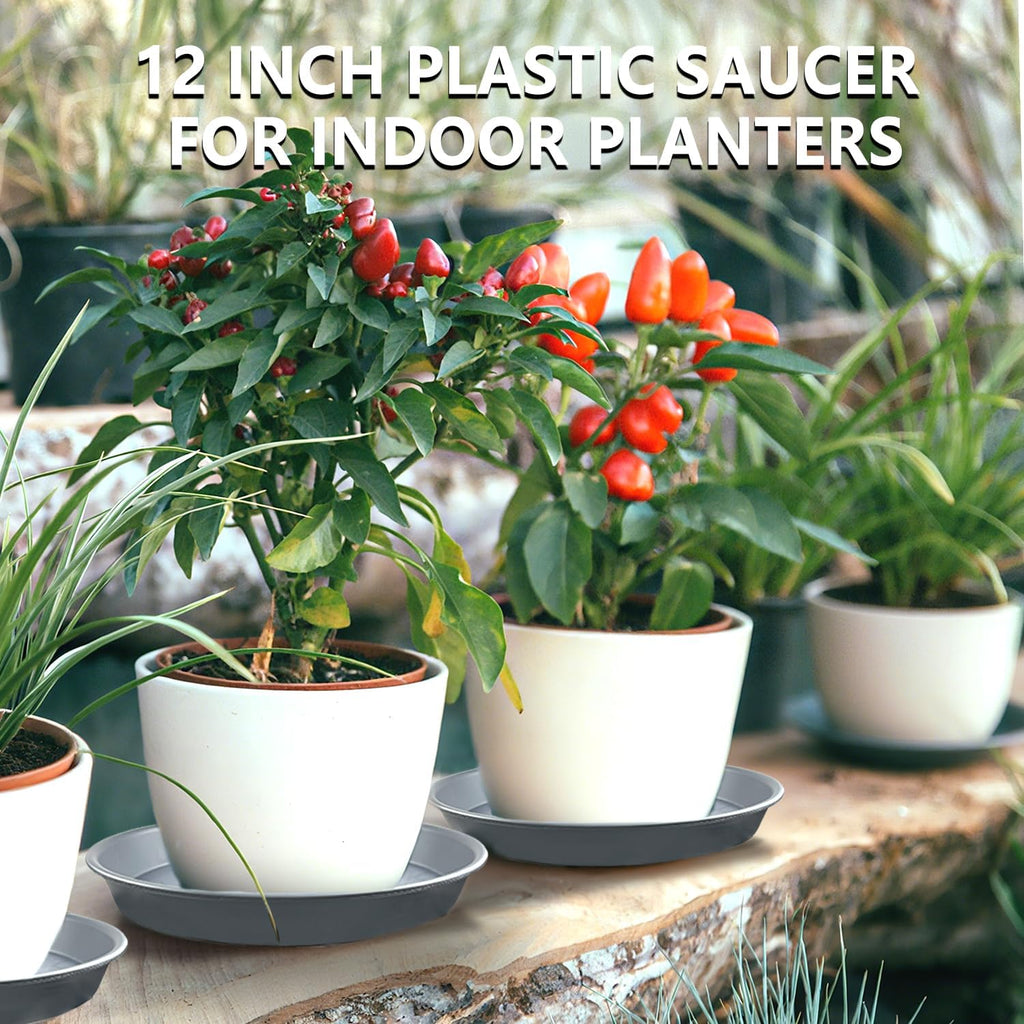 6 Pack 12 Inch Gray Plant Saucers, Heavy Duty PP Water Catcher Trays | Large Water Catcher Saucers for Indoor & Outdoor