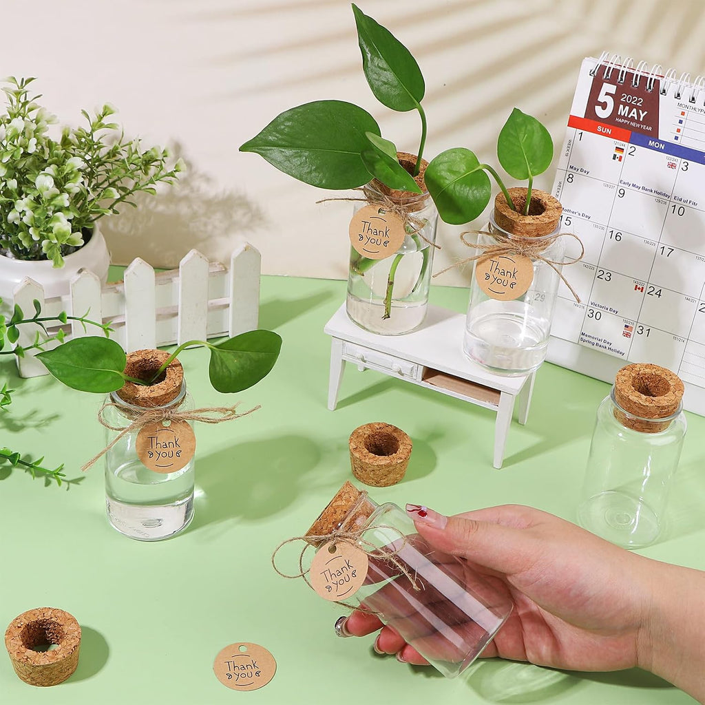 36 Packs Plant Propagation Stations with Hole Lid Clear Plastic Cultivation Bottles Tabletop Hydroponic Containers with