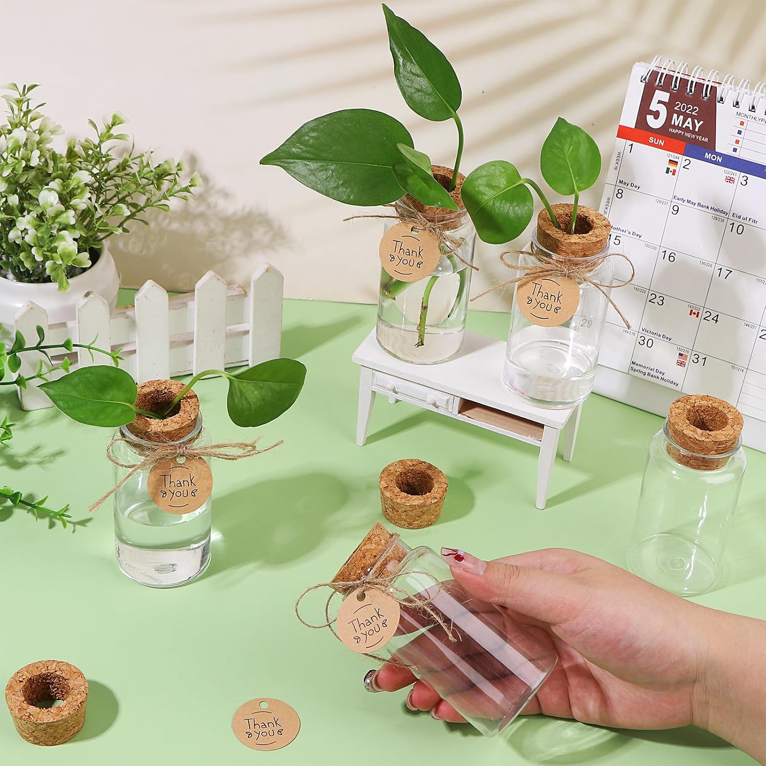 36 Packs Plant Propagation Stations with Hole Lid Clear Plastic Cultivation Bottles Tabletop Hydroponic Containers with