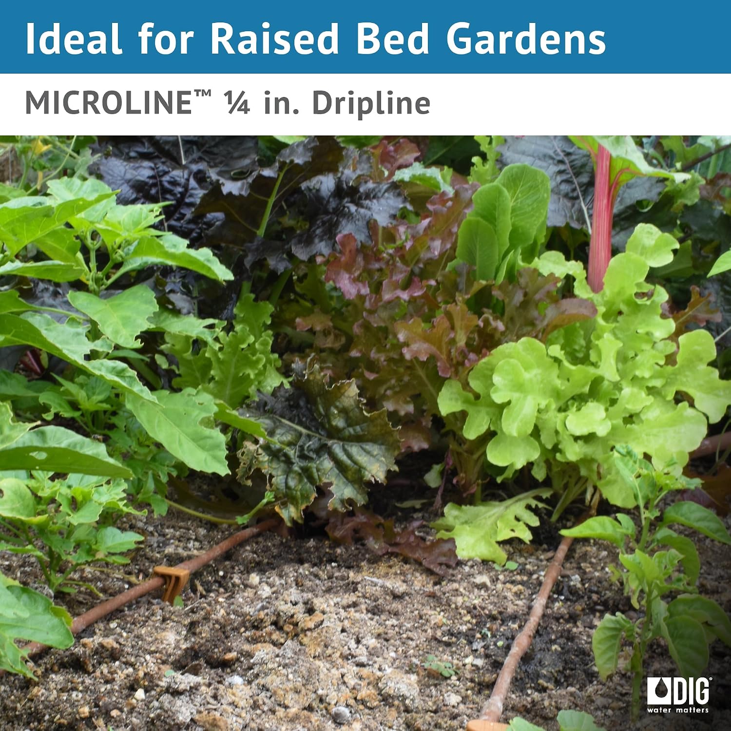 DIG ML-109B ¼” 100’ MICROLINE™ Dripline, 9” Dual Outlet Emitter Spacing, UV-Resistant Tubing for Efficient Irrigation