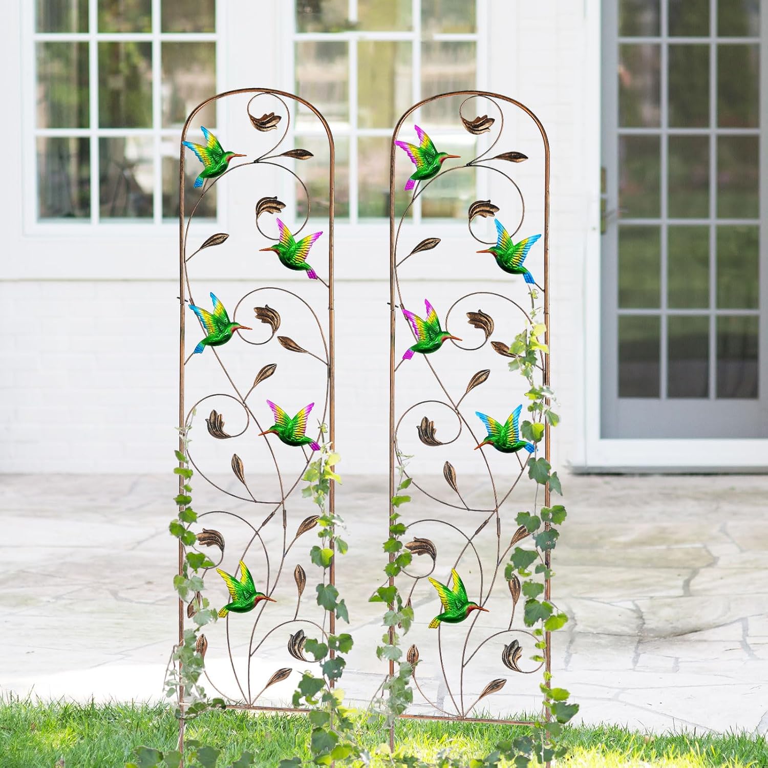 2 Pack Metal Garden Trellis for Climbing Plants | 60 Inch High, Decorative with Hummingbirds, Easy Assembly Arched