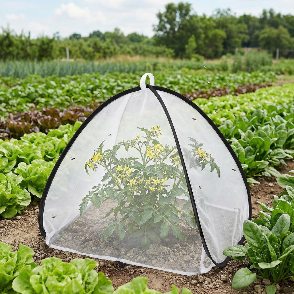 2 Pcs Pop Up Insect Barrier Plant Cover Tent, 22 x 22 x 22 Inch Foldable Garden Plant Protectors Mesh Enclosure, Garden
